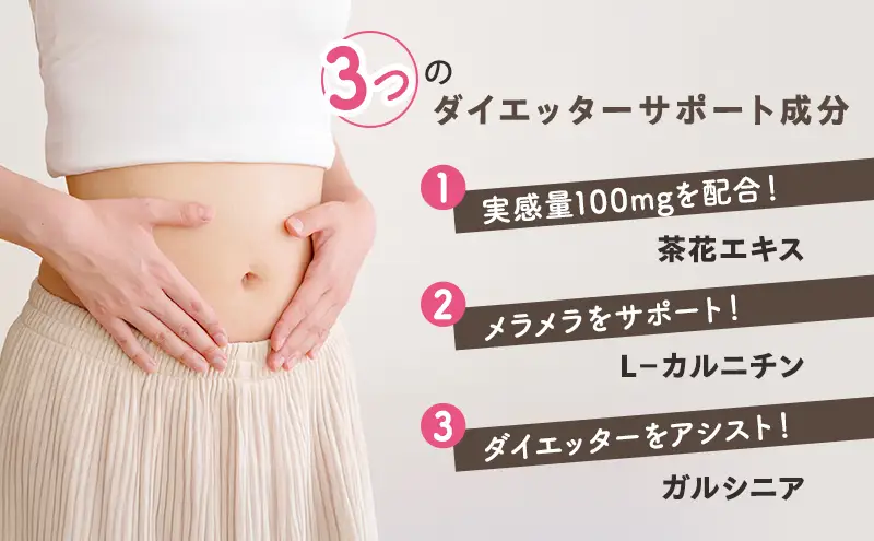 エクササイズ紅茶 ダイエット飲料 日本第一製薬 エクササイズ紅茶【30本入×1袋】【定期便 全3回】