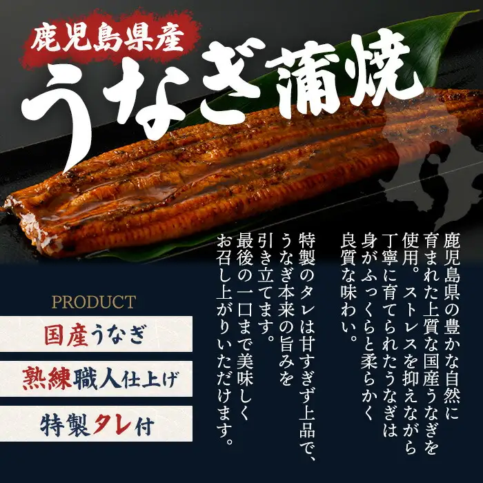 うなぎ 鹿児島県産 蒲焼 うなぎ 【薩摩川内鰻】  A1113