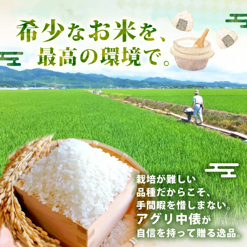 【令和8年産 先行予約】 ミルキークイーン 5kg 5か月 定期便 新潟県産 5回 5ヶ月 特栽米 特別栽培米 ミルキー 新発田産 新潟 ふるさと納税 米 お米 アグリ中俵 特別栽培米 白米 米 お米 こめ コメ ライス ご飯 ごはん 美味しい 贈り物 国産 新潟県 新発田市 お取り寄せ 産地直送 nakatawaraMK002_2