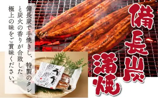 くしまの黒潮うなぎ蒲焼小4尾（合計560g前後）_K023-006