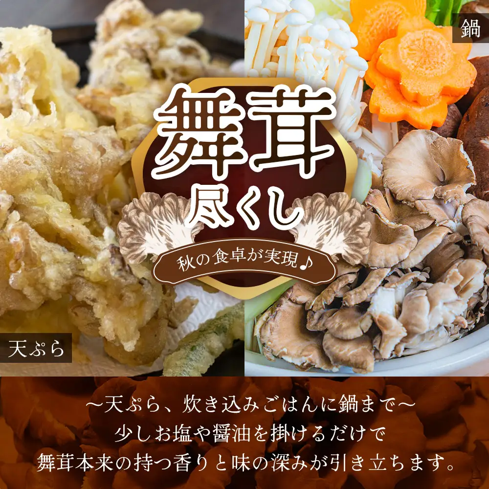 【先行予約】宮崎県諸塚村産 原木舞茸 1kg 数量限定［2026年10月下旬～11月中旬ごろにお届け］冷蔵｜マイタケ きのこ キノコ 原木まいたけ 産地直送 秋の味覚 もろっこはうす 宮崎県 諸塚村 MO-29