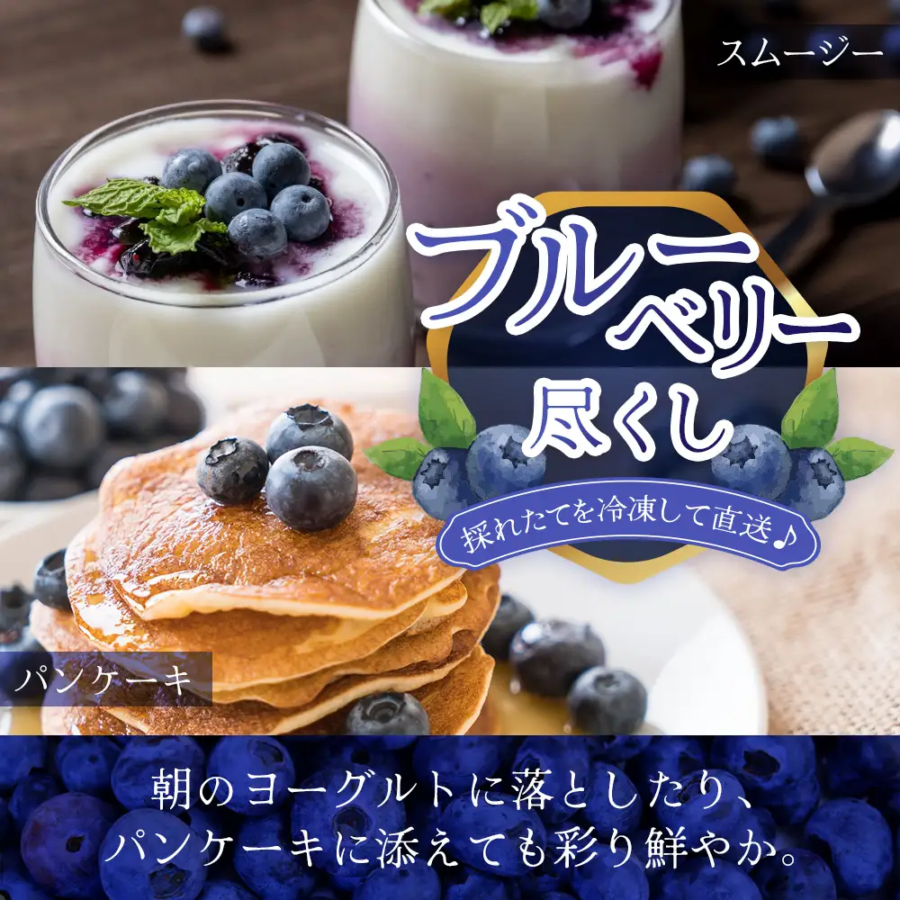 【数量限定】諸塚村産 冷凍ブルーベリー 約1kg｜ブルーベリー 果物 フルーツ 産地直送 スムージー ヨーグルト もろっこはうす 宮崎県 諸塚村 MO-34