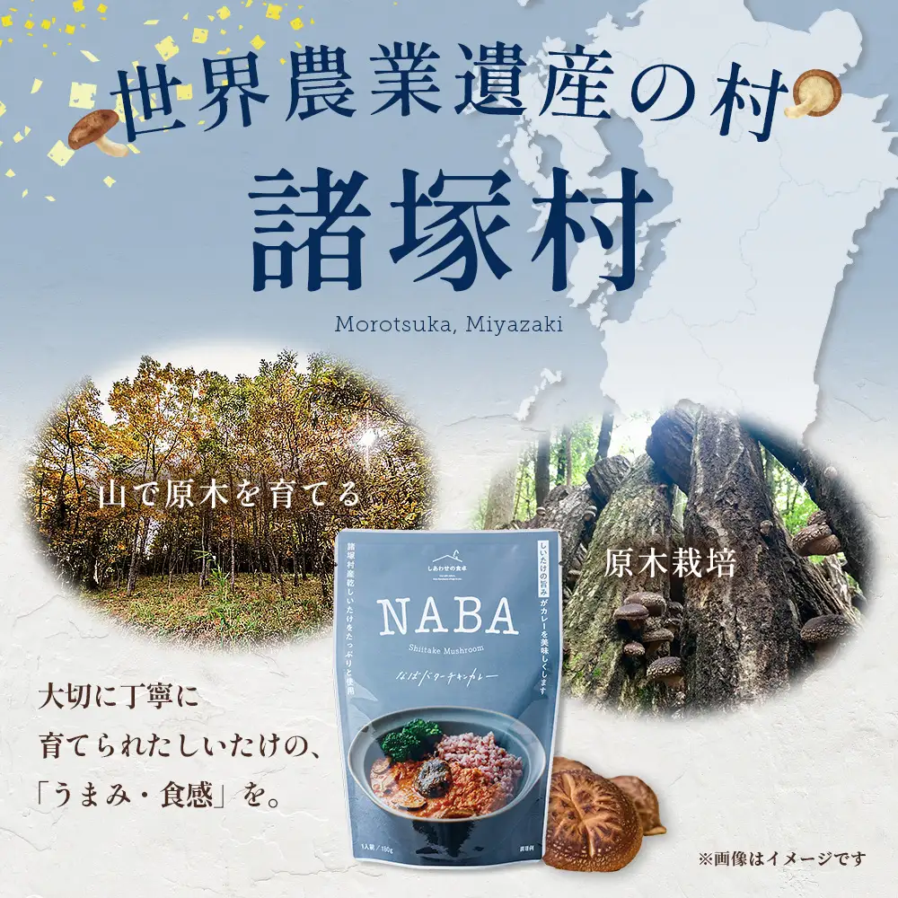 NABA バターチキンカレー 4食 セット 常温｜カレー レトルトカレー カレーライス なば しいたけ 椎茸 レトルト 簡単調理 常備 備蓄 おかず アレンジ 家庭用もろっこはうす 宮崎県 諸塚村 MO-35