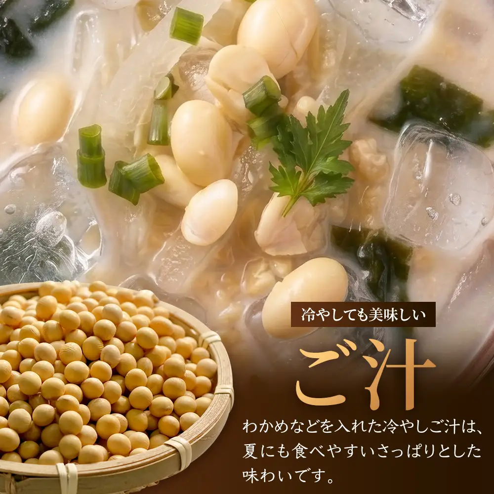 ご汁の素 100g×5P 常温｜呉汁 みそ汁 大豆 大豆ペースト 味噌汁 栄養 郷土料理 ローカルフード タンパク質 ビタミン 食物繊維 手作り もろっこはうす 宮崎県 諸塚村 MO-41