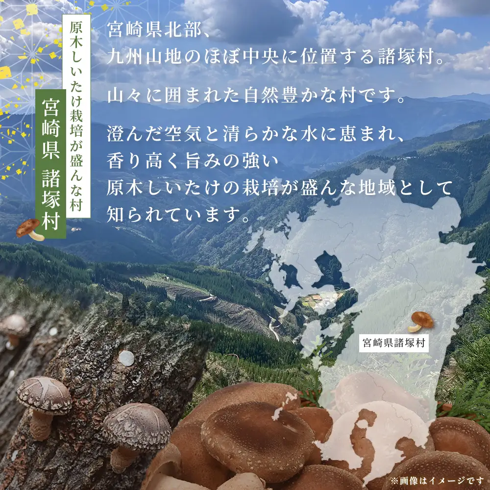 宮崎県産 粉末 しいたけ 40g×6P 計240g 常温｜国産 乾燥しいたけ 椎茸 調味料 出汁 椎茸茶 家庭用 チャック付 パウダー もろっこはうす 宮崎県 諸塚村 MO-13