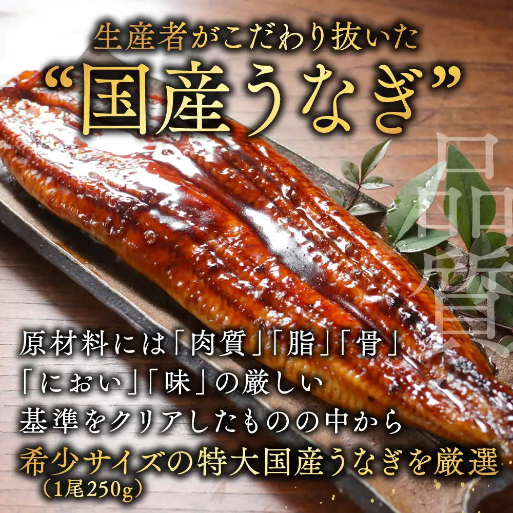 国産 希少 極大 特上うなぎ(250g×2尾) 