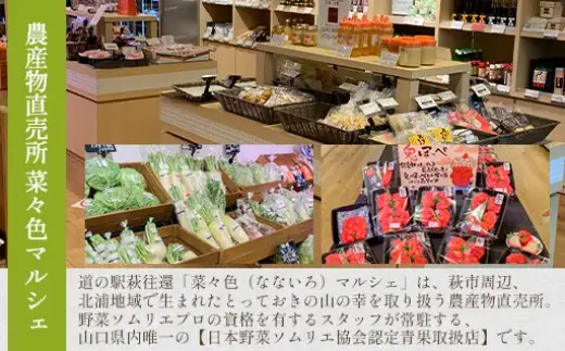 スイカ 10kg以上 萩・夏の銘品 相島 西瓜 秀品 大玉すいか フルーツ 果物 果物類 贈答品 ギフト