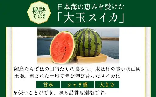 相島すいか