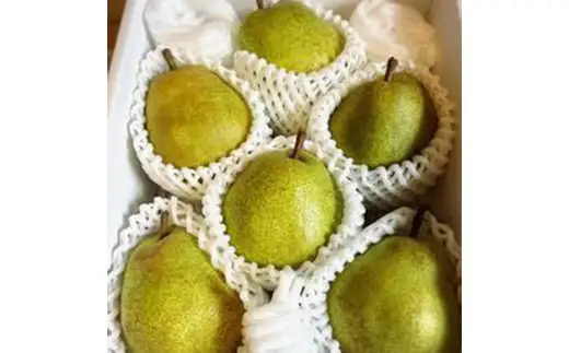【2026年8月発送開始】至高のフルーツ！山形県産旬のフルーツちょっとずつ食べ比べ定期便C 全3回 F4A-1028