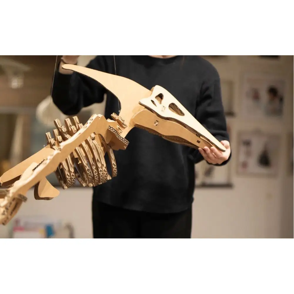 【Qumu】大型ダンボール骨格標本キット　プテラノドン