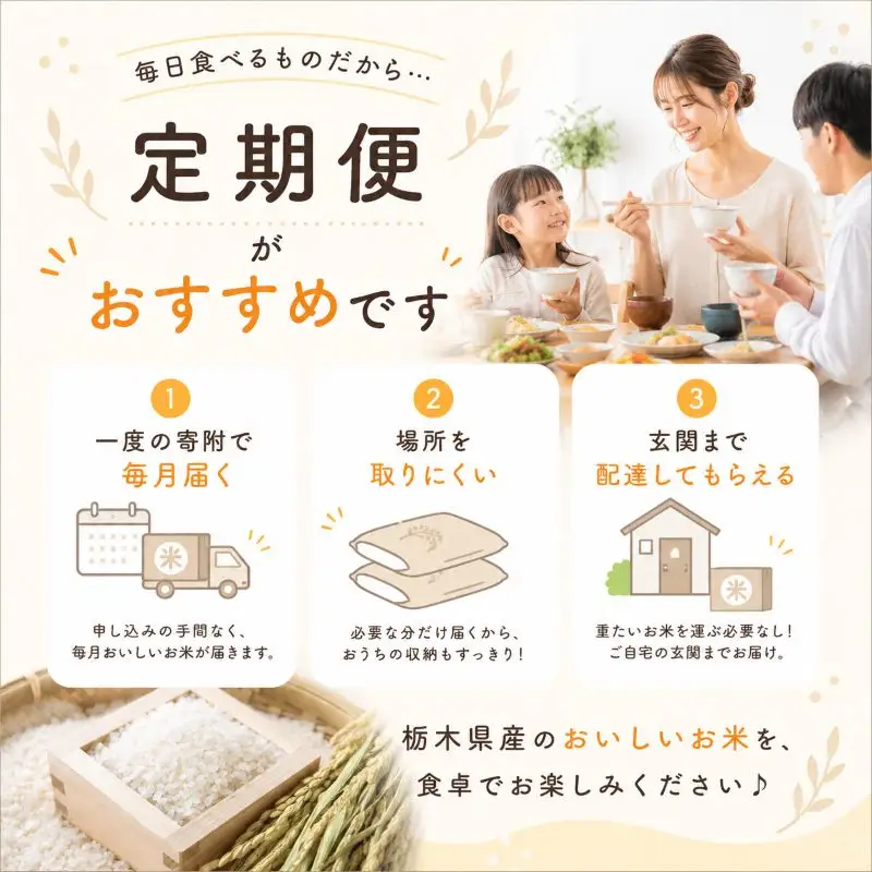 【令和8年産 新米】 【定期便3回】栃木県産 お米 こしひかり　（無洗米） 5kg 【2026年秋以降発送】 |  栃木県 矢板市 【栃木県共通返礼品 真岡市産】