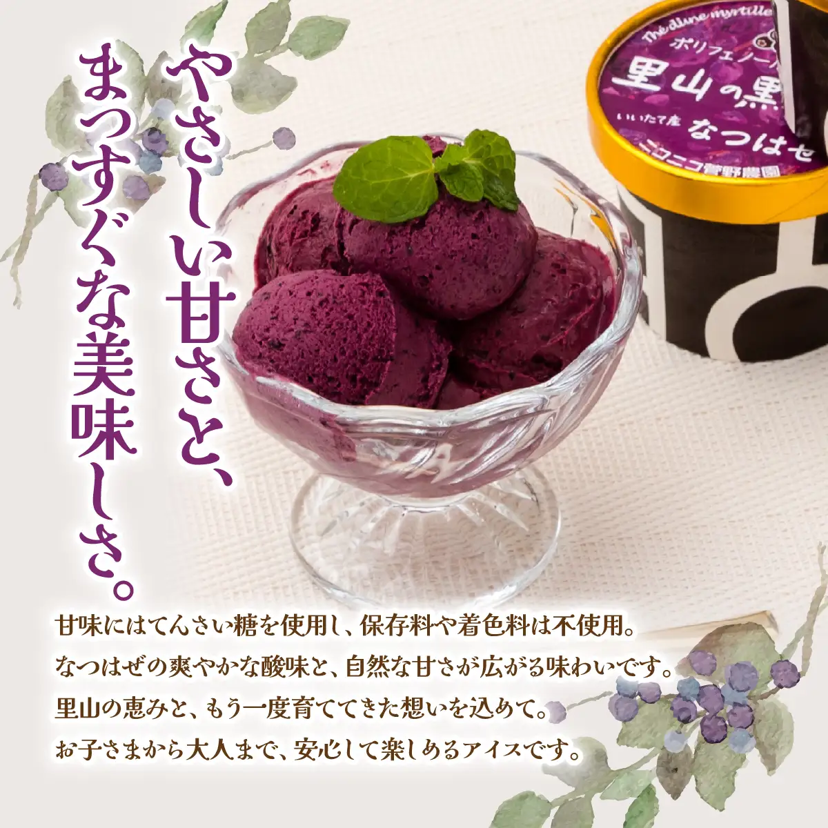 里山の黒真珠 なつはぜアイス ITTAA002