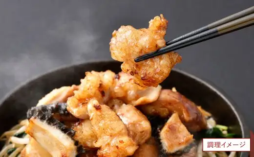 ミックスホルモン 約1.0kg（約500g×2パック）ホルモン 九州産 ミックス 丸腸 赤センマイ はちのす 小腸 冷凍 福岡県 北九州市
