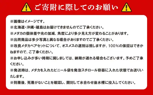 752 改良メダカ 紅花魁簪 (べにおいらんかんざし) 2ペア 4匹 観賞用 ペット【トリハタめだか】