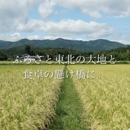 令和7年産　宮城県産コシヒカリ 7分づき精米　10kg【1726804】