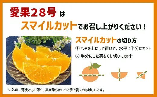 【2026年先行予約】みかん 愛果28号 8〜12玉 Lサイズ以上 贈答用 紅まどんな同一品種 【2026年12月以降順次発送予定】 愛媛 数量限定 愛媛県産 人気 柑橘 フルーツ 国産 おすすめ 伊予市｜C183