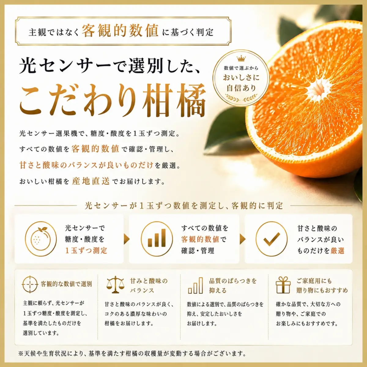 【先行受付】極撰柑橘【雅】光センサー合格品・完熟「清見」3キロ【C39-56】【配送不可地域：離島】【1462396】 YWTF031