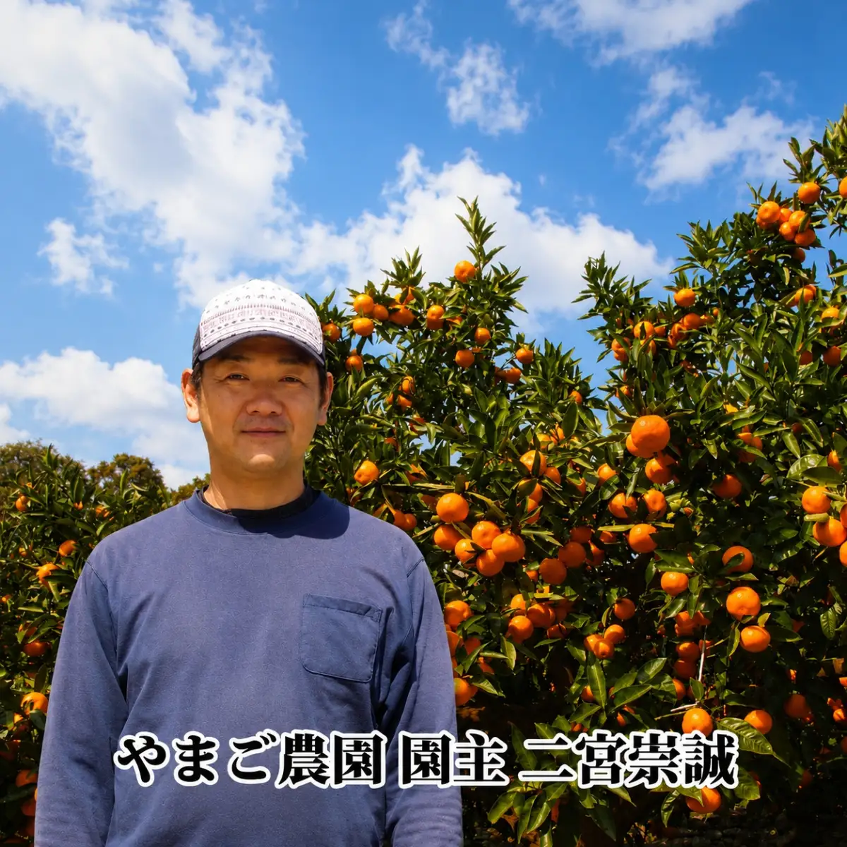 【先行受付】!やまご農園 高糖度みかん!「あけぼの」【C39-11】【配送不可地域：離島】【1491797】 YWTF004