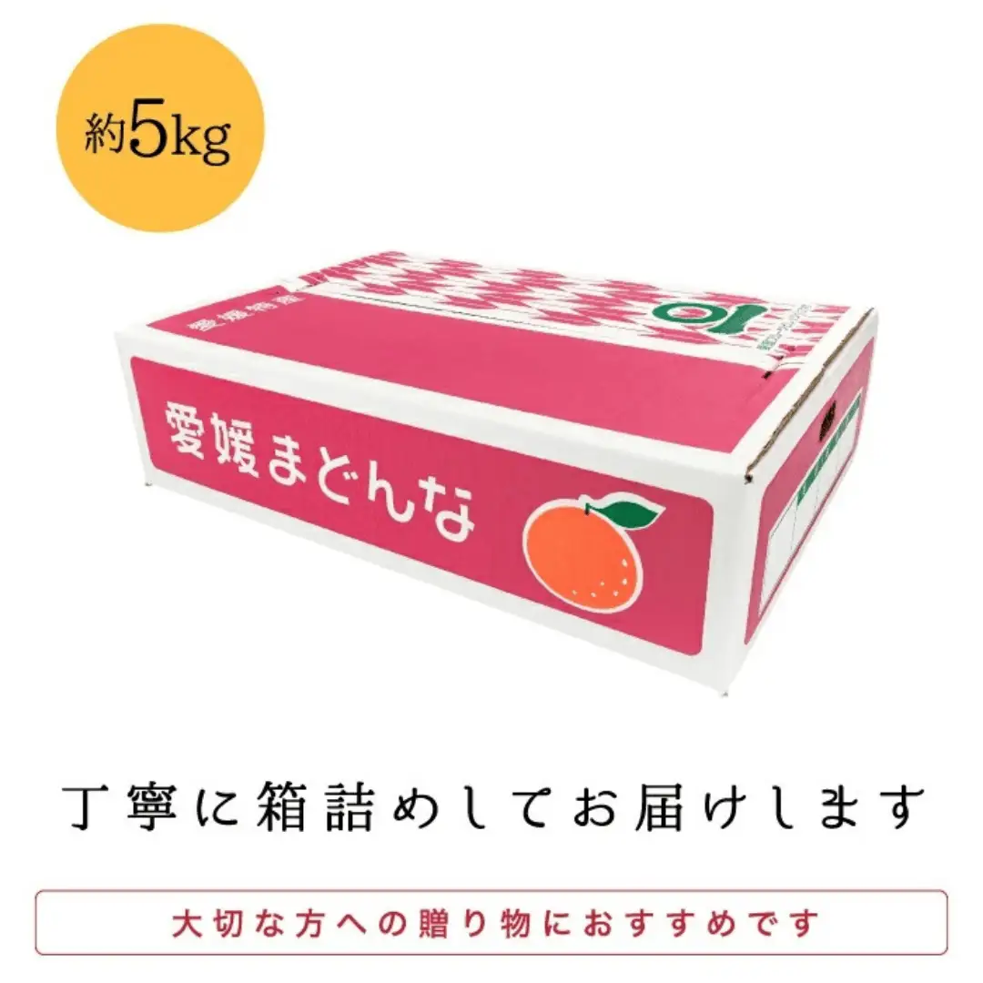 【先行受付】産地直送 国安さんちの愛媛まどんな 贈答用 約5kg 【H20-31】【1340000】 YWTI026