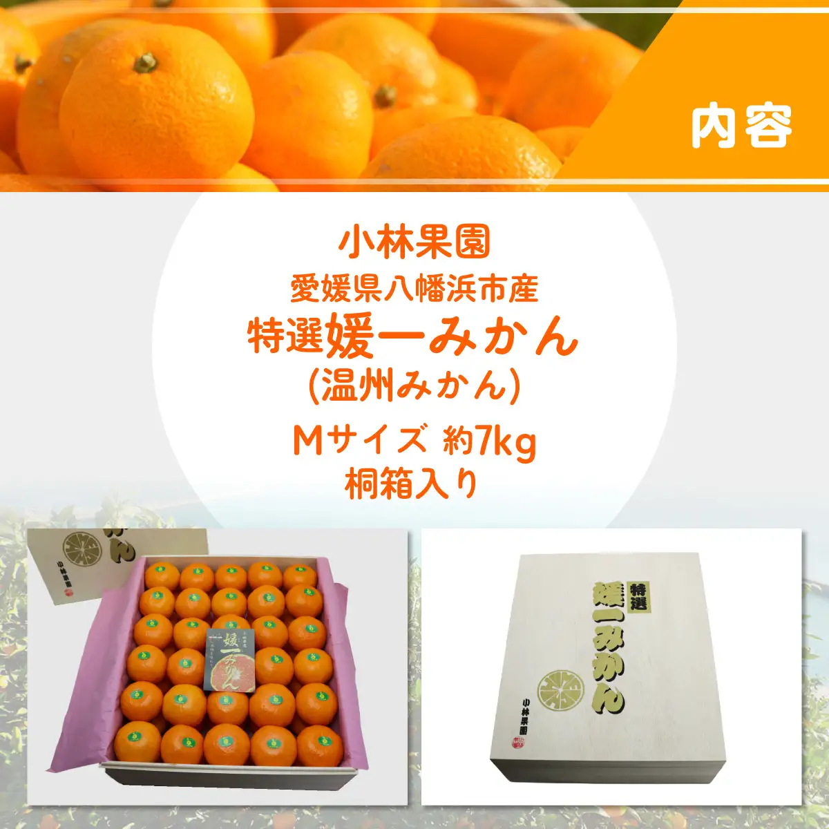 【先行受付】桐箱入り・媛一みかん(7kg)【G24-3】【1045055】 YWTAD001