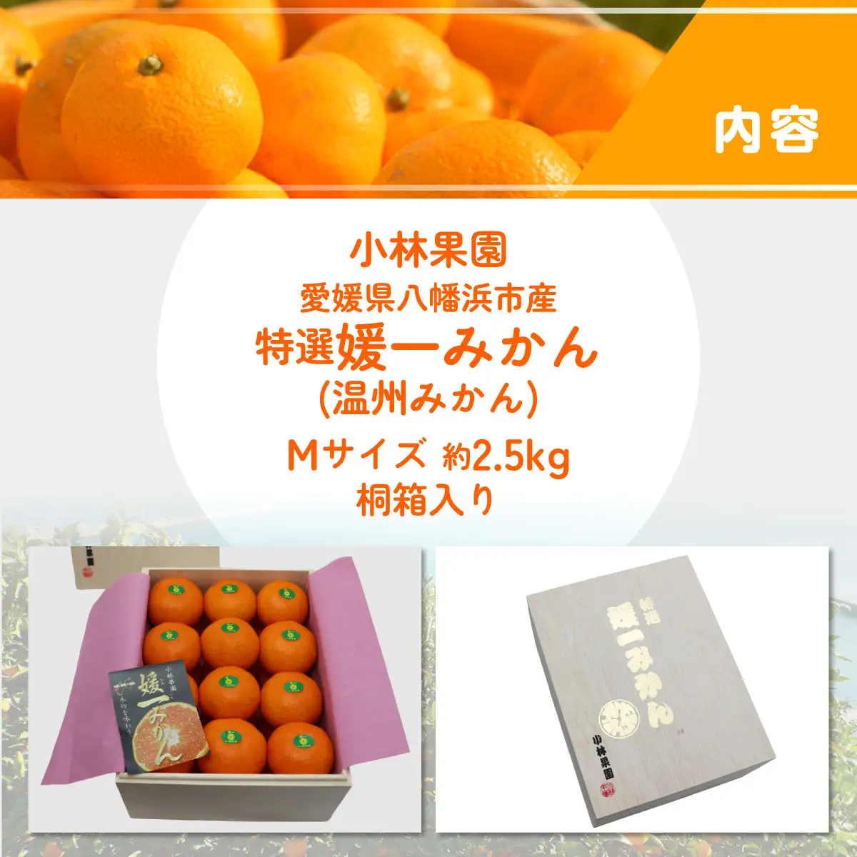 【先行受付】桐箱入り・媛一みかん(2.5kg)【D24-4】【1045056】 YWTAD002