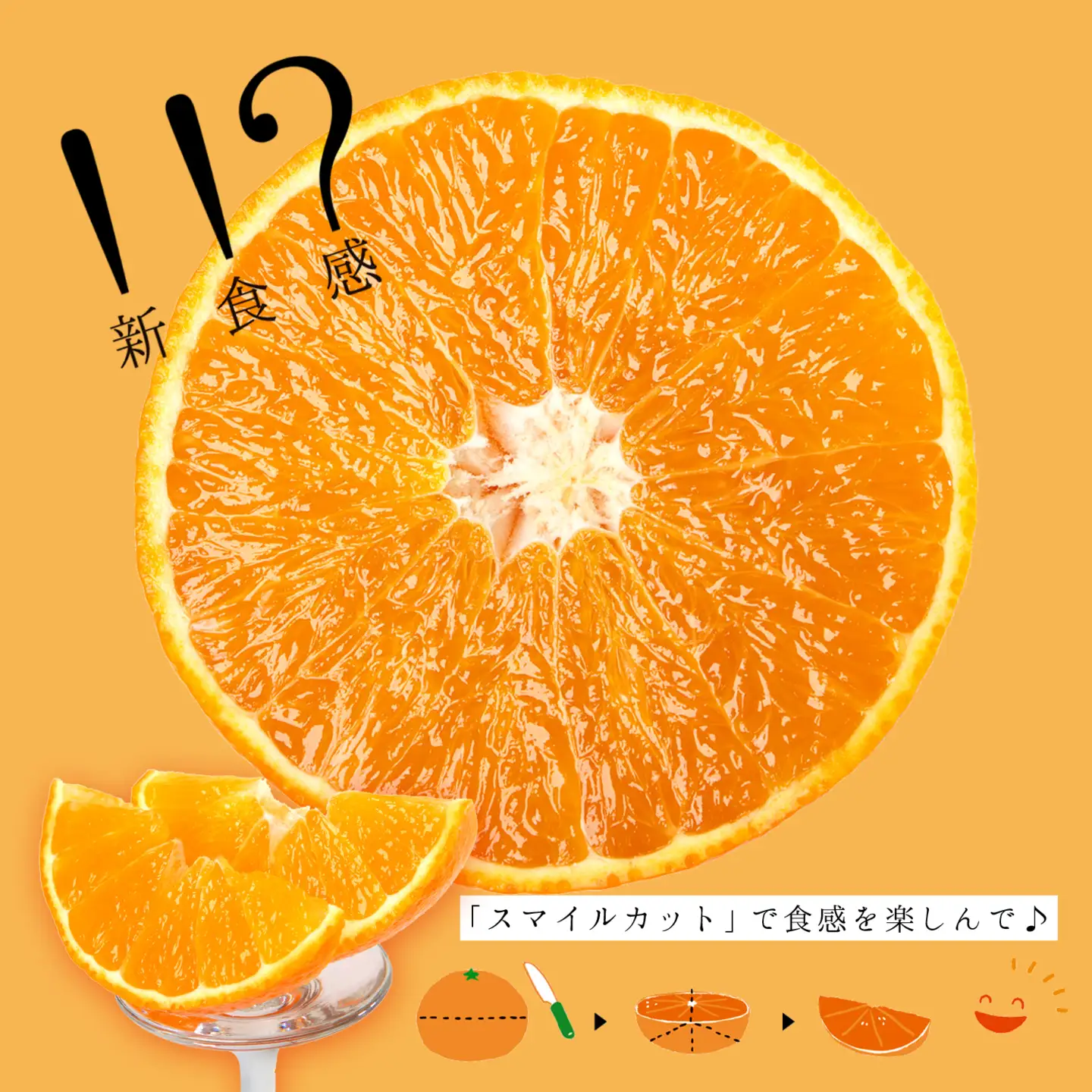 【先行受付】コウ果樹園の「厳選　華まどんな」3kg(4L～L　8～15玉)【E33-8】【1056129】 YWTG004