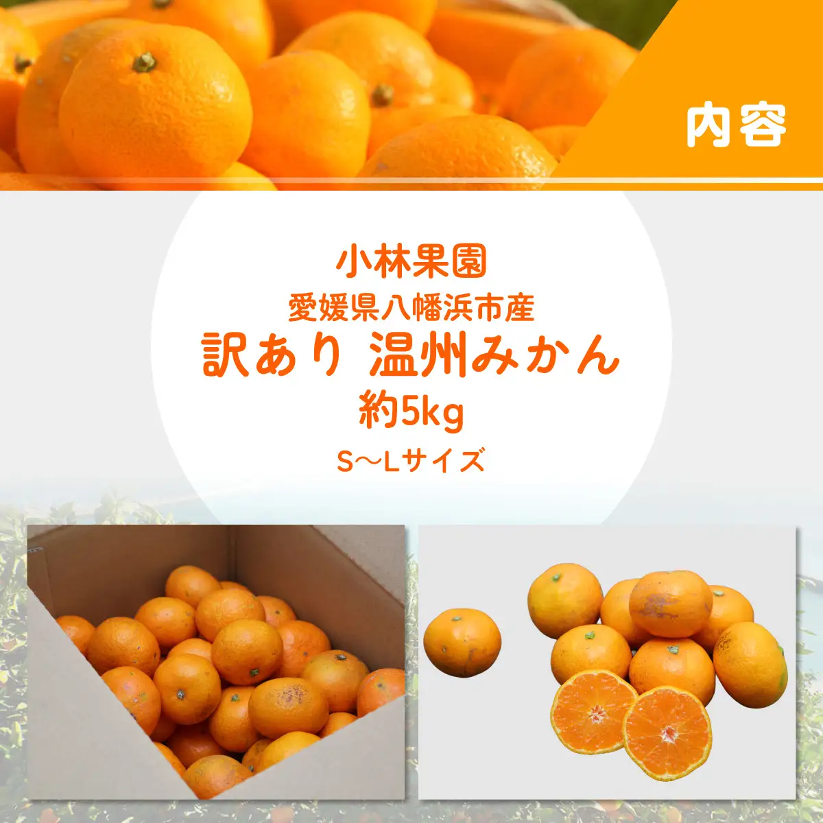 【先行受付】小林果園の愛媛みかん(約5kg)【訳あり】【C24-15】【1124421】 YWTAD008