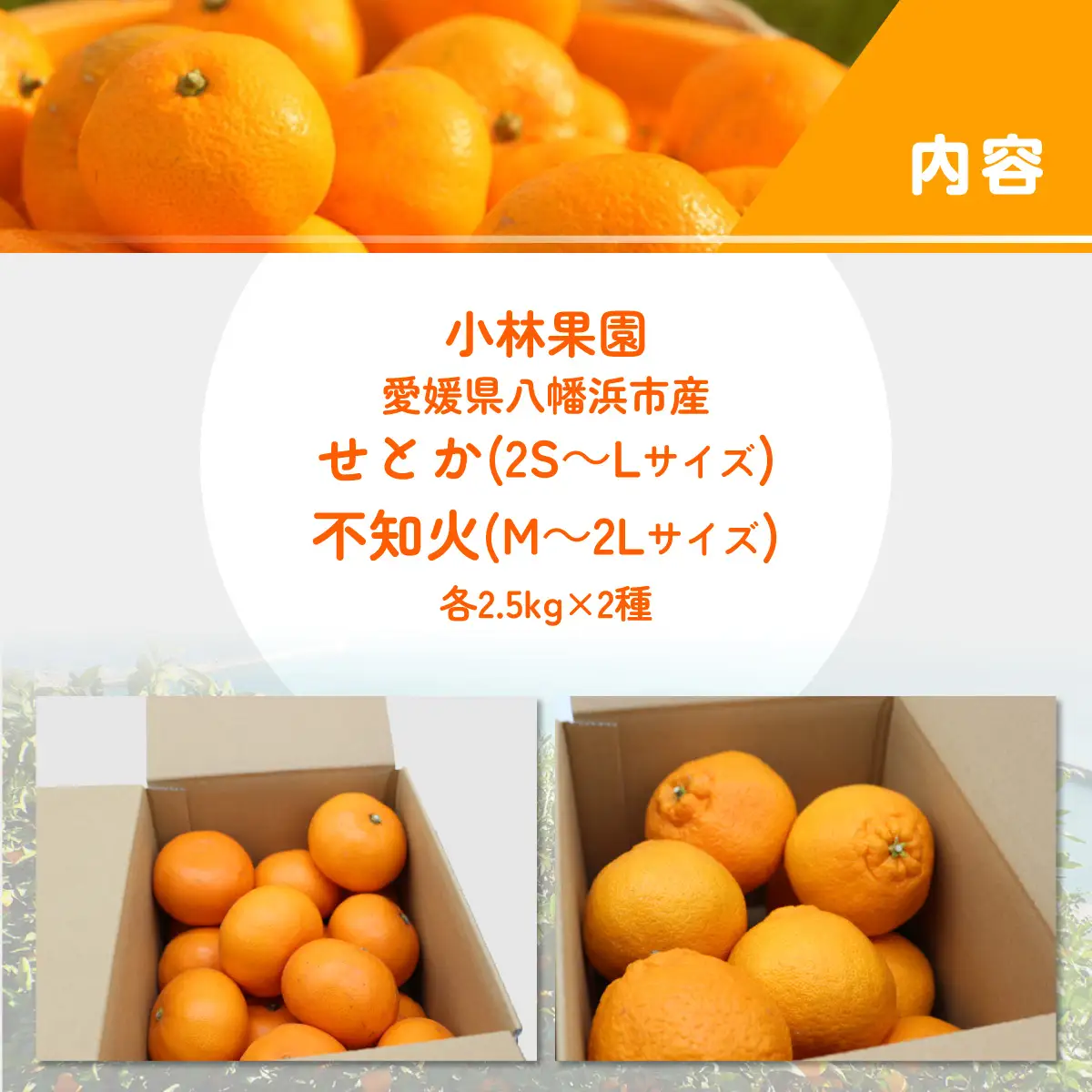 【先行受付】小林果園のせとか＆不知火セット(各約2.5kg入)【C24-21】【1124427】 YWTAD014