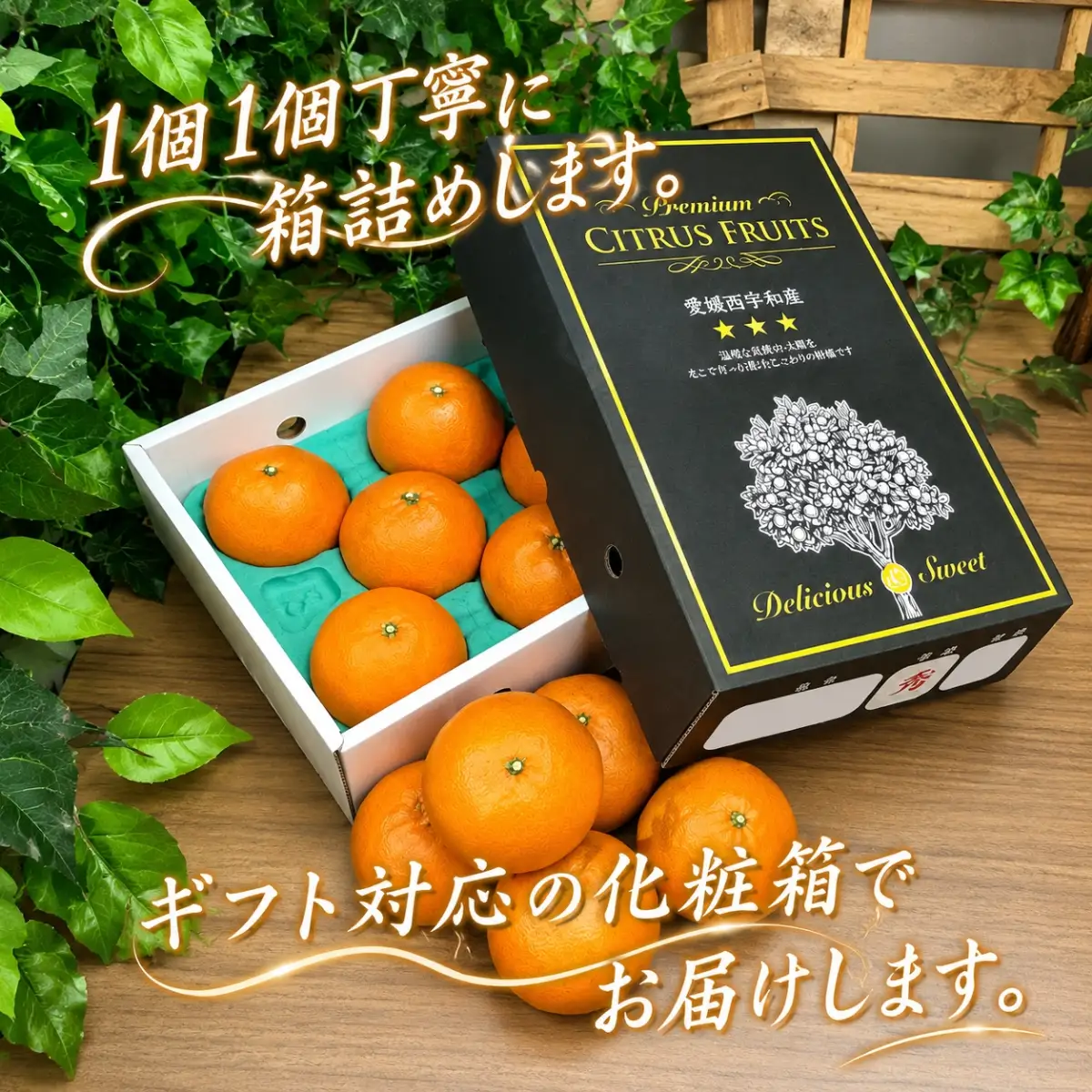 【先行受付】柑橘の大トロ‼「せとか」約2kg 【C39-55】】【配送不可地域：離島】【1462367】 YWTF030