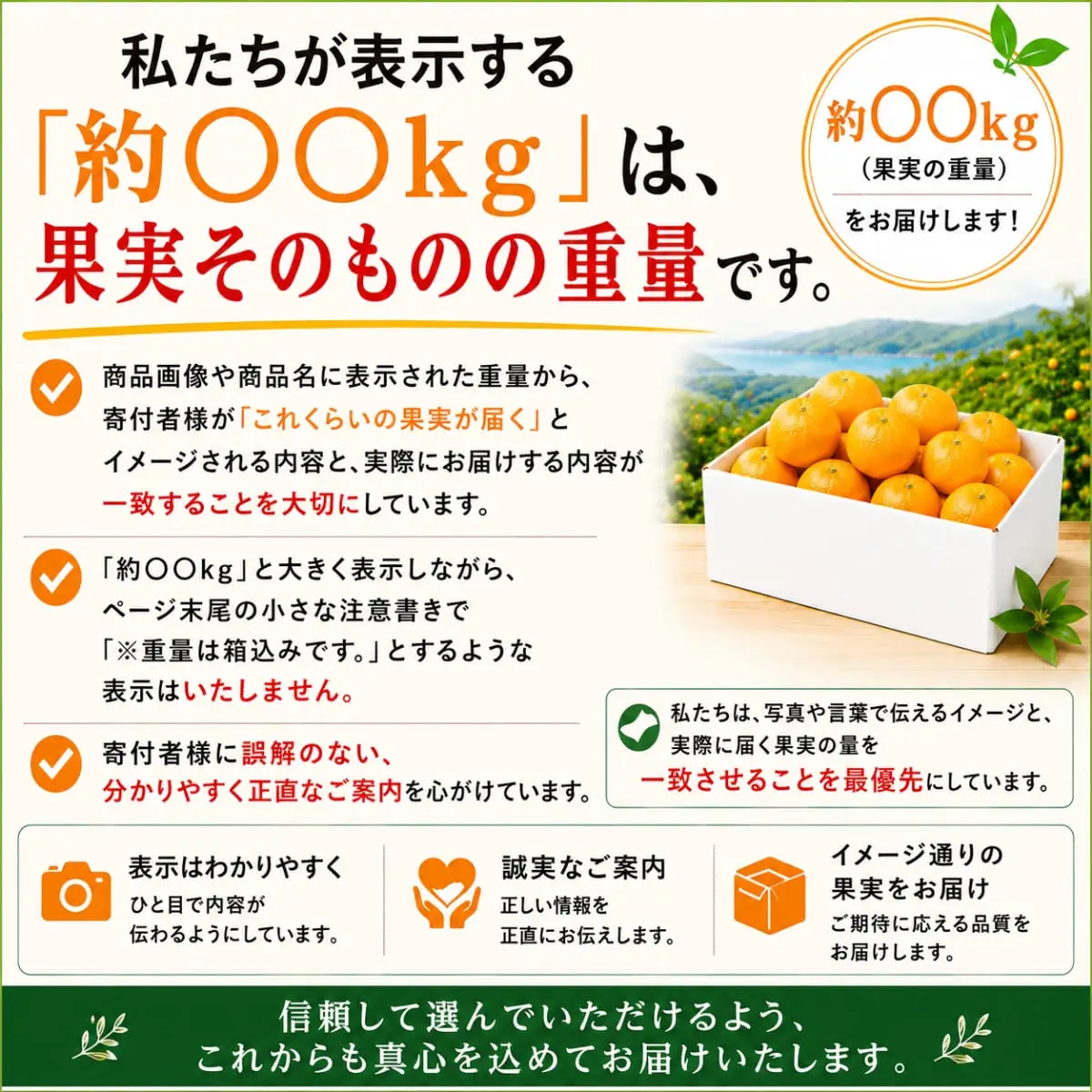 【先行受付】2027年1月出荷開始　爽やかな香り。酸味が少なく甘みの強い「ポンカン」約5kg 【C39-38】 YWTF018
