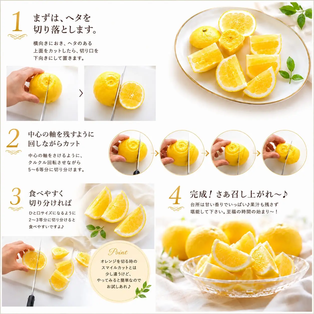 【先行受付】酸味を感じないジューシーな甘さ!「はるか」約5キロ　【C39-7】【配送不可地域：離島】【1280653】 YWTF002