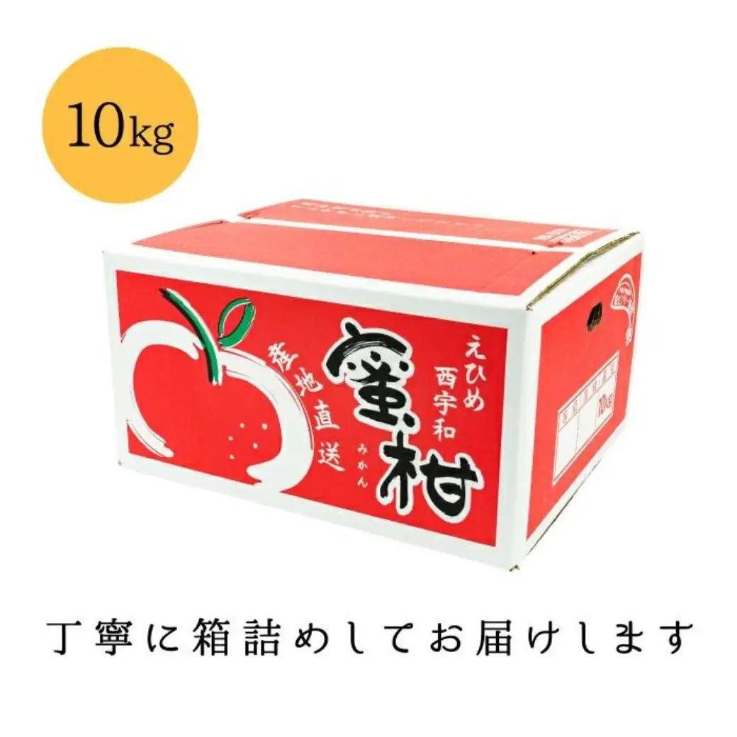 【先行受付】【創業85年 親子4代 愛媛みかん 一筋】愛媛八幡浜産 訳あり極早生みかん 10kg【D20-47】【1594916】 YWTI042