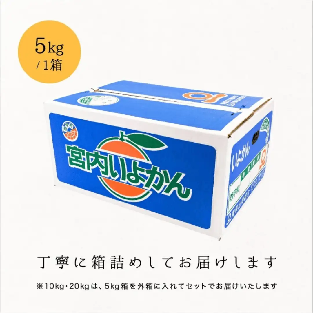 【先行受付】【爽やか香りと柔らかジューシーな果肉】愛媛八幡浜産 訳あり 宮内伊予柑 5kg【C20-56】【1595886】 YWTI051