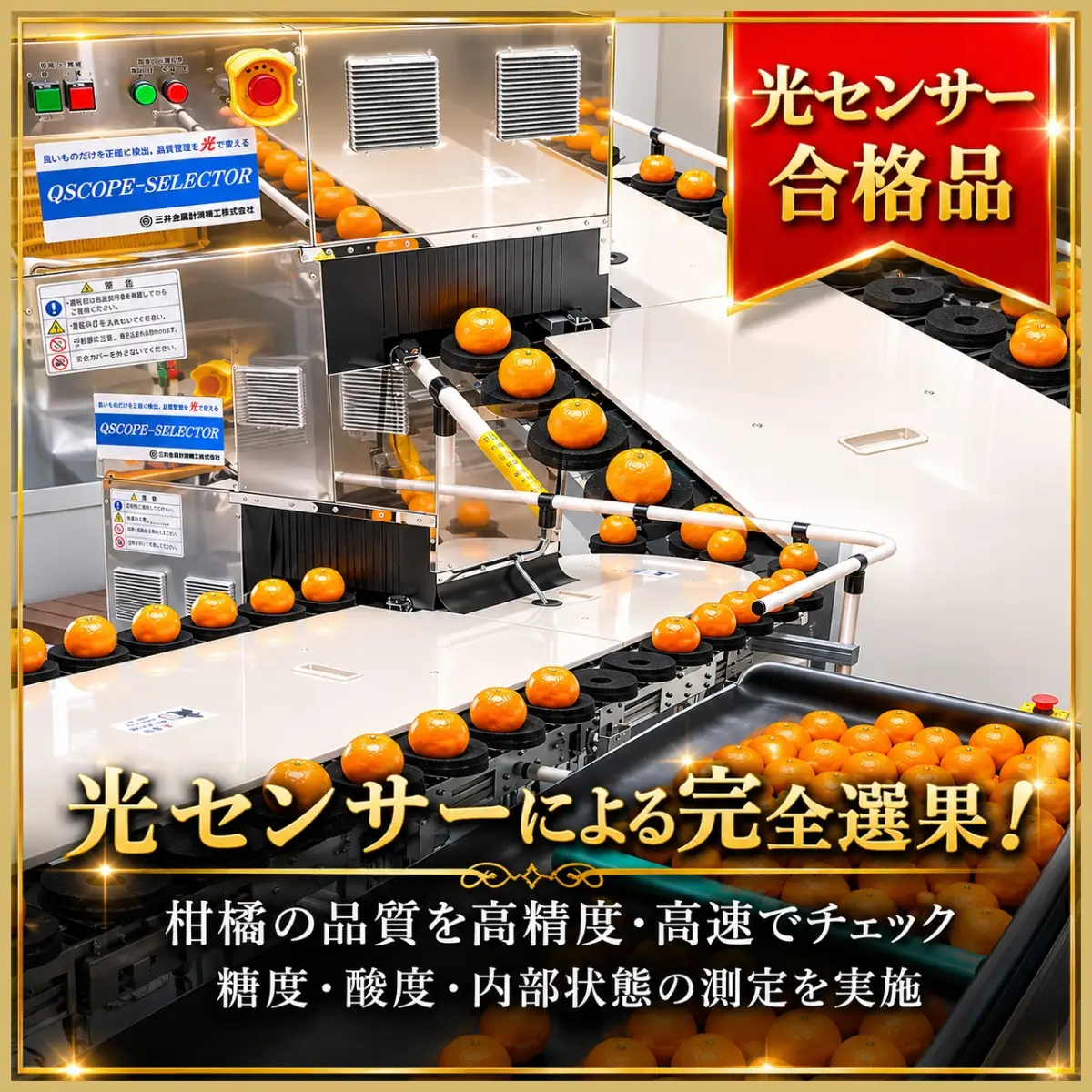 【先行受付】極撰柑橘【雅】光センサー合格品　甘さ際立つ「小玉温州みかん」約4.5キロ【C39-64】【配送不可地域：離島】【1616826】 YWTF039