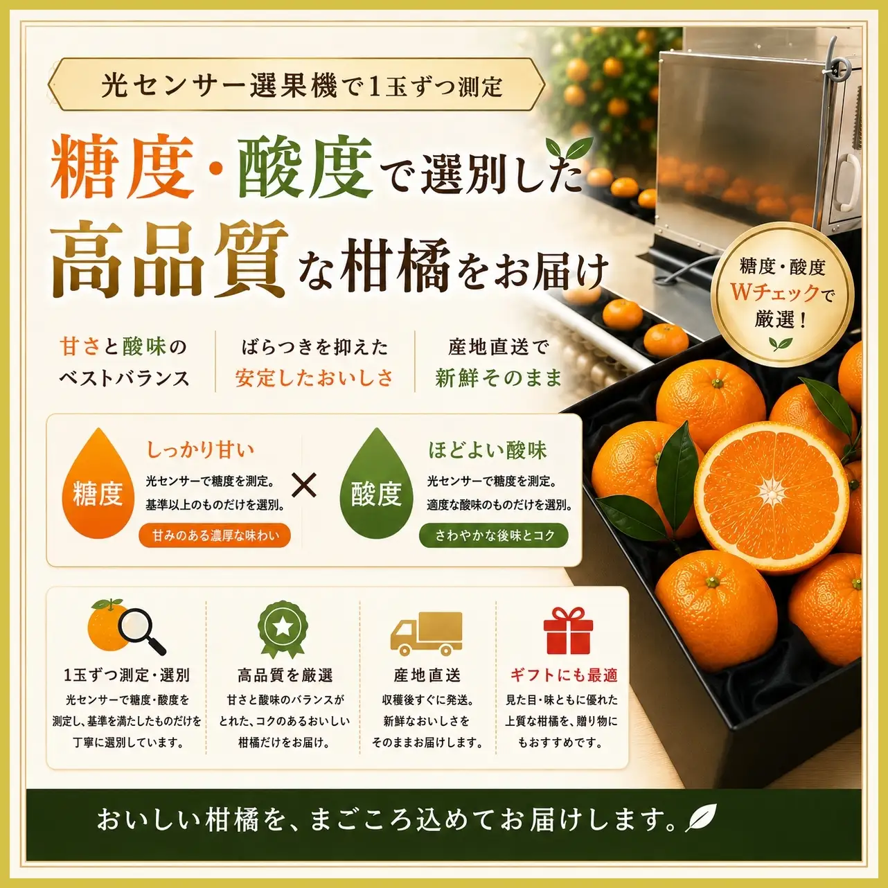 【先行受付】極撰柑橘【雅】光センサー合格品・限定300ケース　愛媛の高級柑橘「甘平」約1.8キロ【D39-66】【配送不可地域：離島】【1619270】 YWTF041