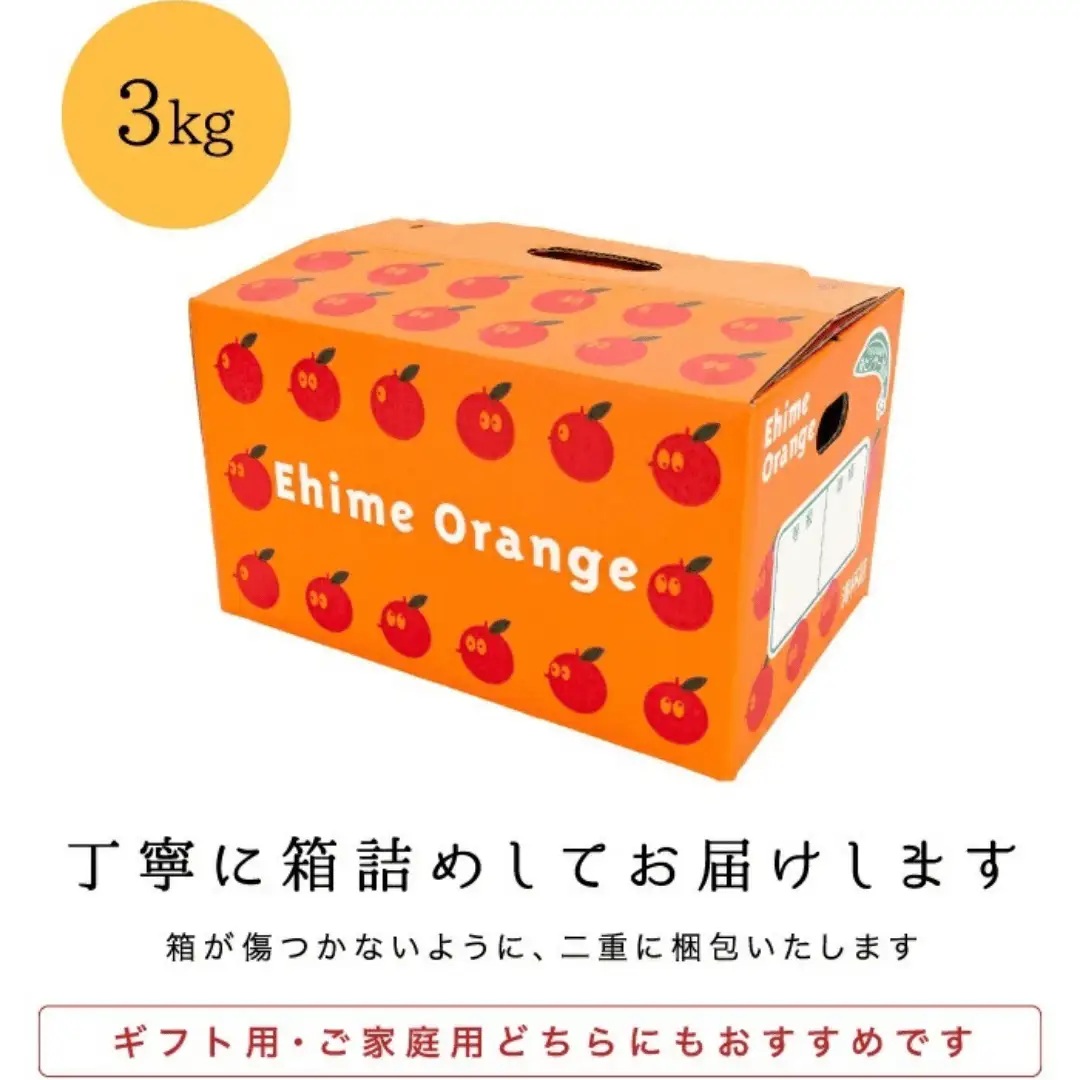 【先行受付】【南国を感じさせる独特の香り】訳あり 愛媛ポンカン 3kg【C20-91】【1625439】 YWTI086