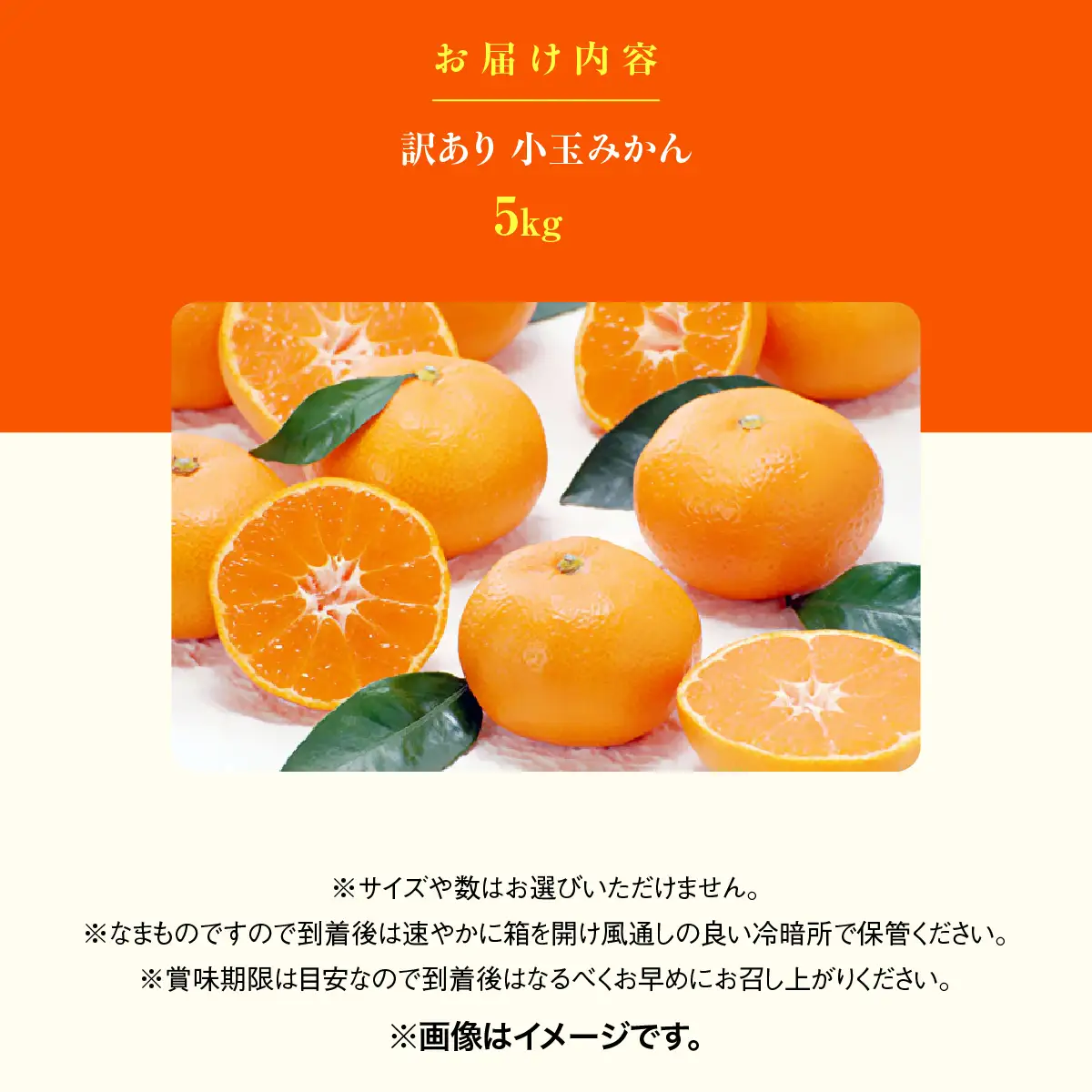 【先行受付】【訳あり】西宇和みかん小玉5kg(小玉3S～Sサイズ込み)【C21-46】YWTBC027