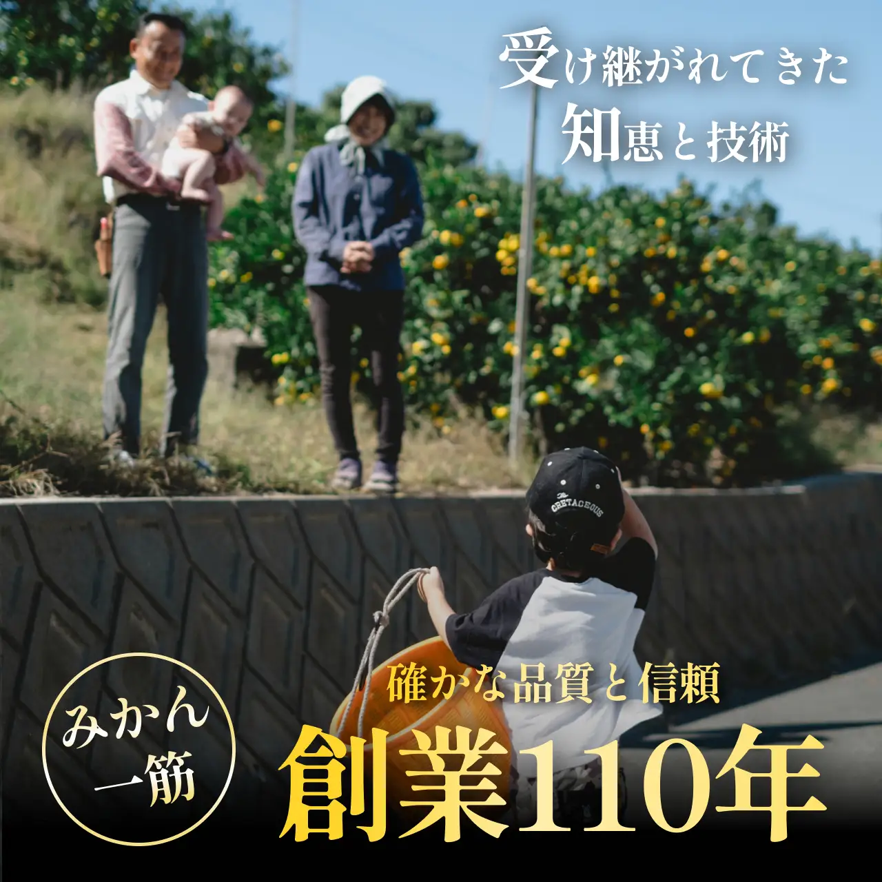 【先行受付】訳ありだけど美味しさそのまま【まどんな 5.5kg】【訳あり】紅まどんなと同品種【F70-141】【1688017】 YWTK140