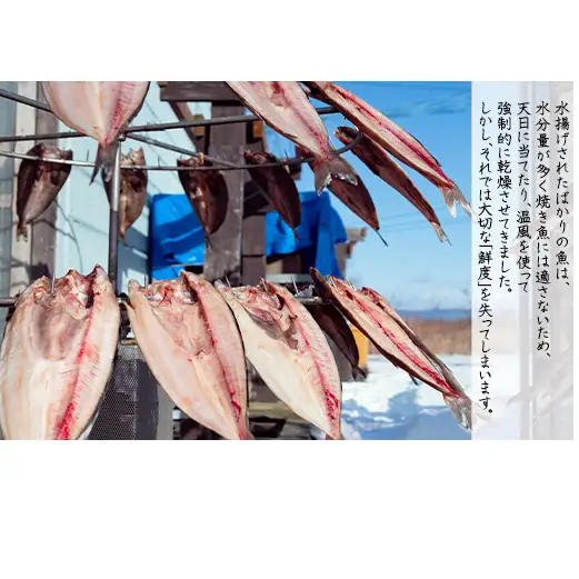 【定期便】計6回 軽石干し北海道産宗八カレイ1kg（5尾入り）