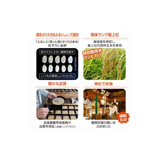 米 令和7年産新潟県産コシヒカリ 難関突破米 精米5kg なんかん米