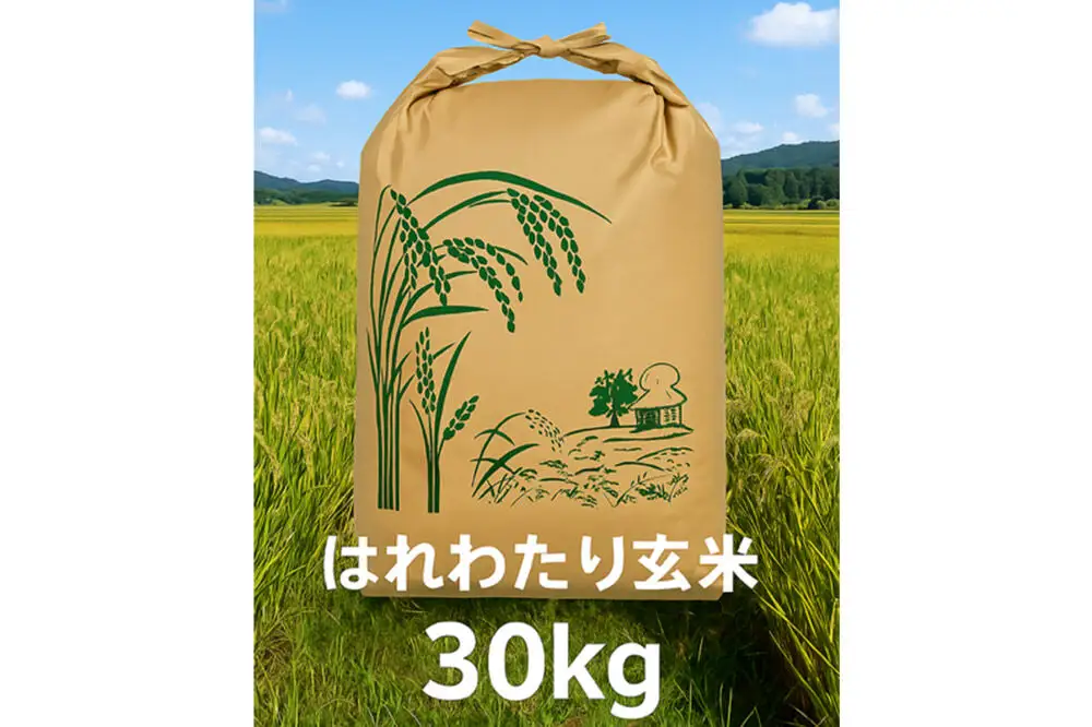 玄米 青森県産はれわたり 30kg×1袋【令和7年産】