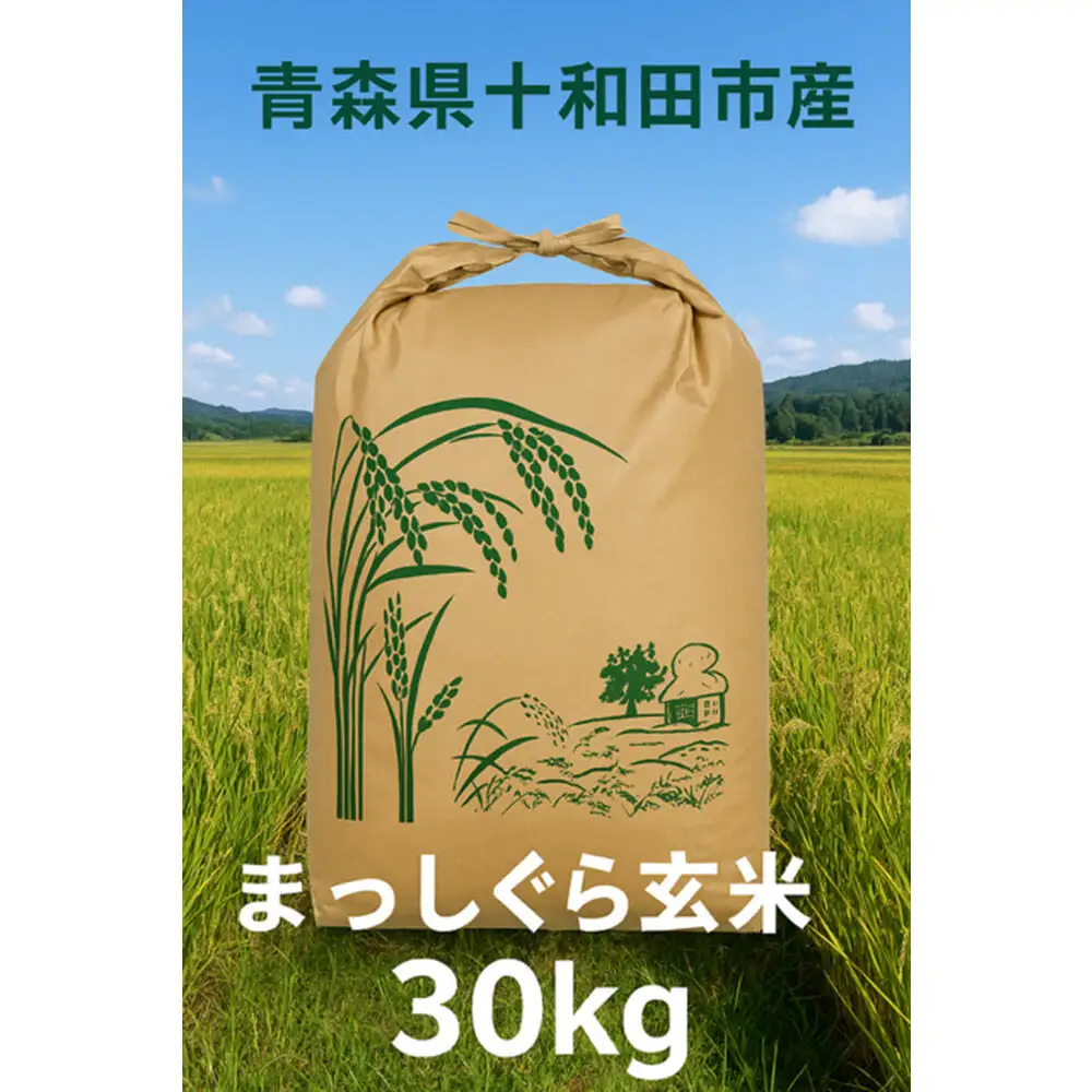 玄米 青森県産まっしぐら 30kg×1袋 令和7年産