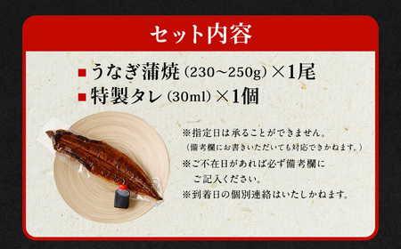国産 うなぎ 蒲焼 1尾 （230g ～ 250g） と 特製タレ 1個 セット