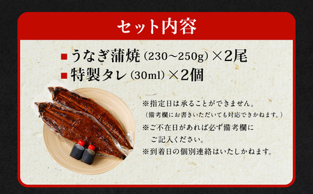 国産 うなぎ 蒲焼 2尾 （460g～ 500g）と 特製タレ 2個 セット 