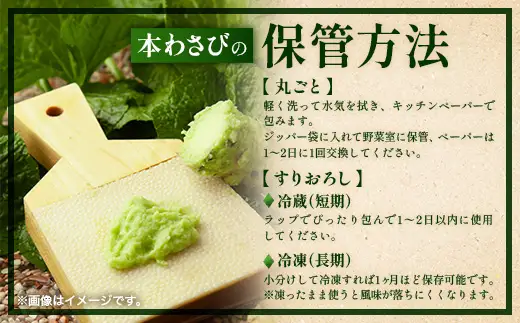 那賀わさび (正緑) 約200ｇ 2～4本 【徳島県 那賀町 生産者直送 産地直送 本わさび わさび ワサビ 生わさび 山葵 野菜 香味野菜 国産 正緑 薬味 調味料 万能 新鮮】FN-02