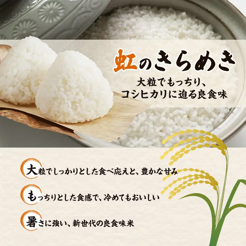 【最短3日配送】新潟県産 品種おまかせ 2kg 新潟県 新潟市産 令和7年産 お米 精米 米 ご飯 送料無料
