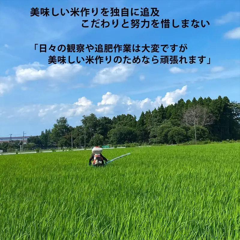 【先行予約】コメランド 新之助 精米 上越産 5kg 新之助
