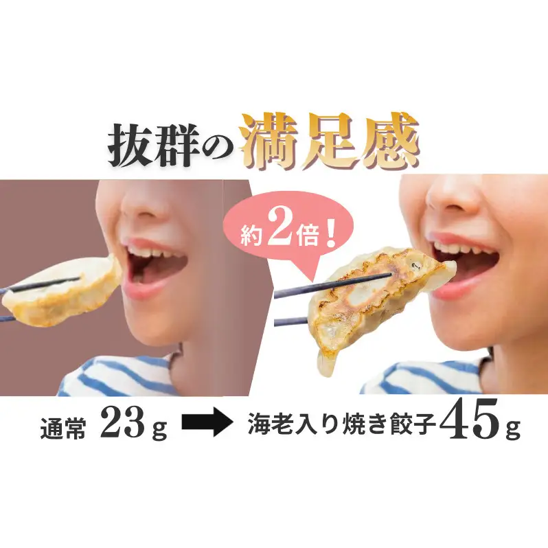 焼き餃子 羽田名物 海老入り 本格餃子 冷凍 焼き餃子【25個】【冷凍】
