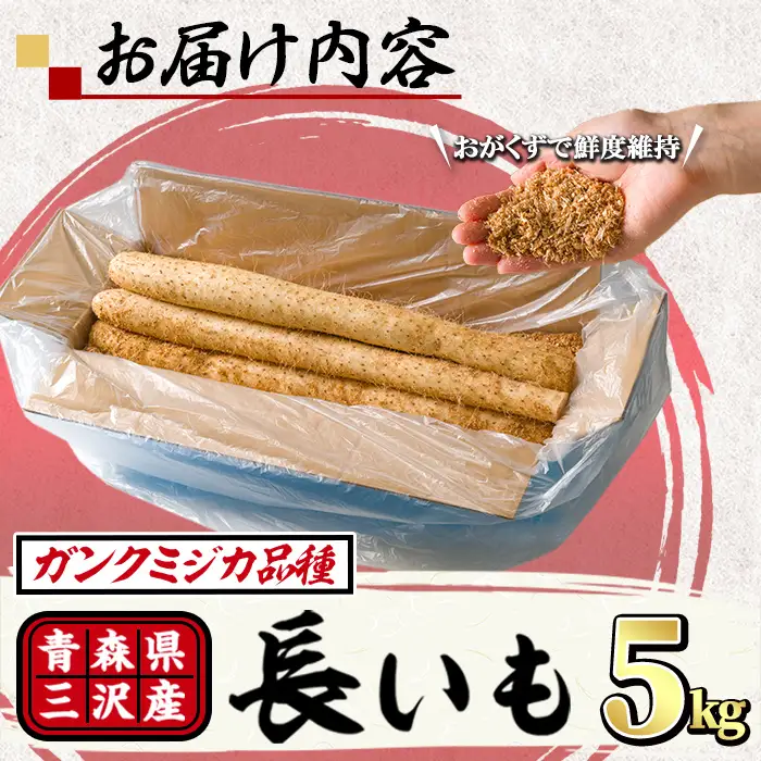 青森県三沢市産 長いも (5kg) 野菜 やさい 根菜 とろろ 長芋 長いも 山いも 芋 いも 青森県産 三沢市産 【おいらせ農業協同組合】【ms25-02】