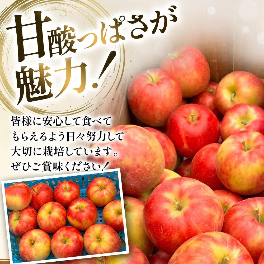 【26年10月発送】りんご 葉とらず ジョナゴールド【家庭用】約3kg カワムラファーム 青森県 弘前市